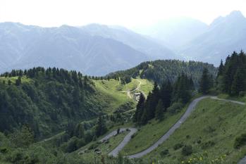 01135-carnia 