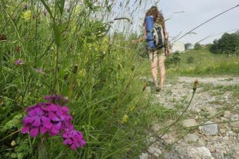 02571-carnia 